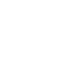 Внутренний аудит